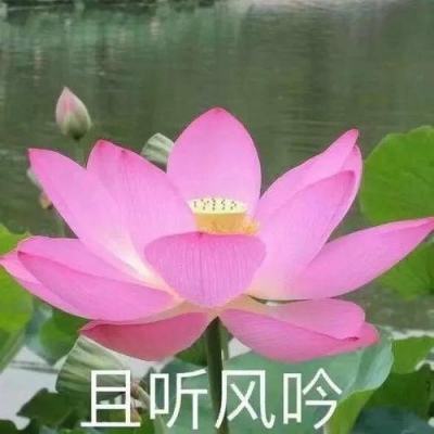 黑龙江26日新增新冠确诊29例 无症状感染者28例